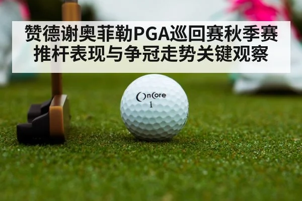 赞德谢奥菲勒PGA巡回赛秋季赛推杆表现与争冠走势关键观察
